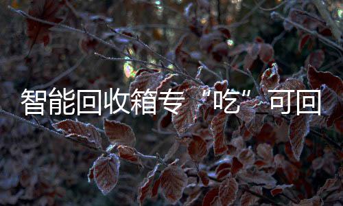 箱专垃圾可回收回收智能吃