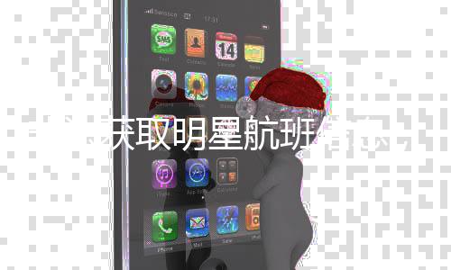 被追信息非法粉，两明星获取航班责究刑丝